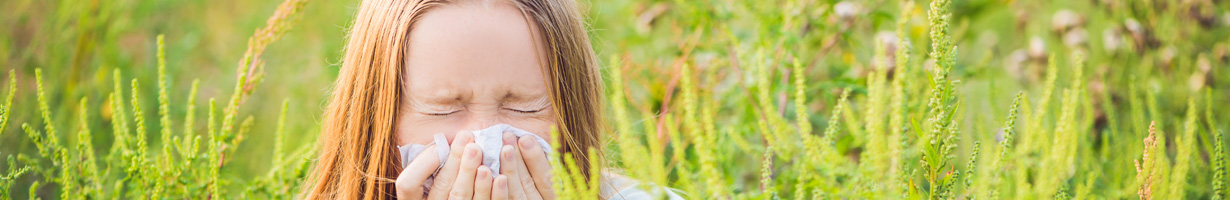 Heuschnupfen